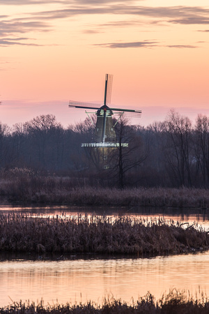 DeZwaan windmill at dawn