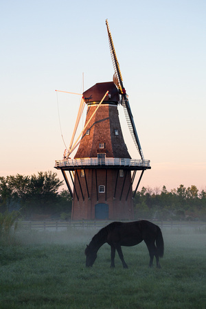Early morning at the windmill