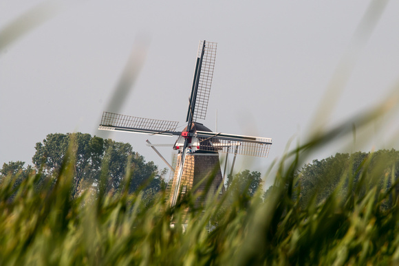 De Zwaan Windmill
